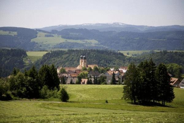 Gaestehaus Wald Und See Titisee-Neustadt Exterior photo